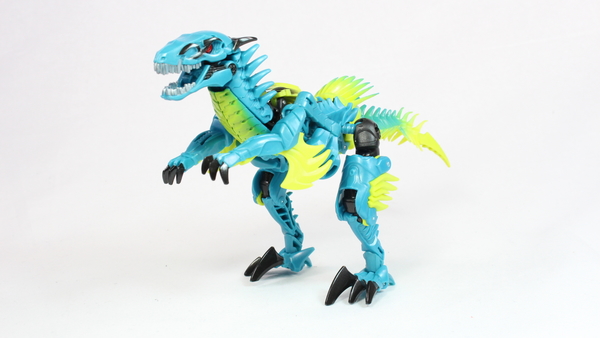 Slash Dinobot Deluxe Class  (16 of 30)